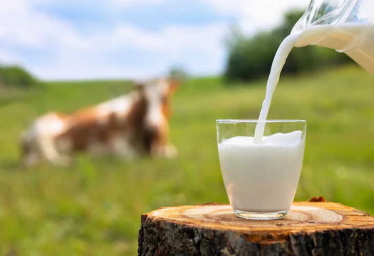 The Ultimate Guide to Fresh Milk: Unlocking Its Full Potential